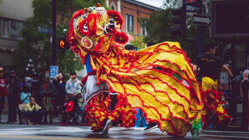 Person Wearing Foo Dog Costume